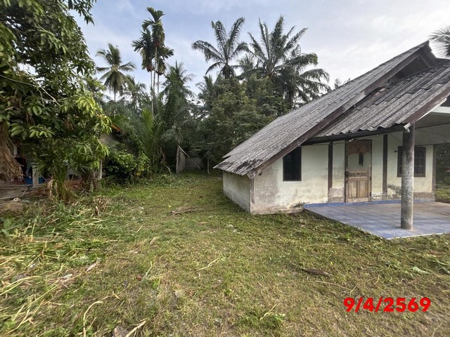 ขายบ้านเดี่ยวสุราษฎร์ธานี อำเภอชัยบุรี ถนน สายบ้านคลองศอก - บ้านคลองพัง ราคาโปรโมชั่น