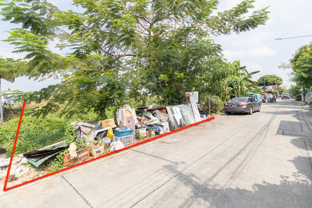 ขายด่วน ที่ดินสวยรังสิต-นครนายก 59 รังสิต-นครนายก คลองสอง สร้างบ้านในฝันหรือโกดัง ถูกสุด