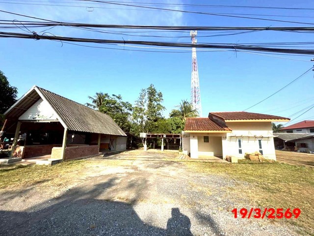 ขายบ้านเดี่ยวสุราษฎร์ธานี อำเภอ ท่าชนะ ถนน สายท่าชนะ - หลังสวน