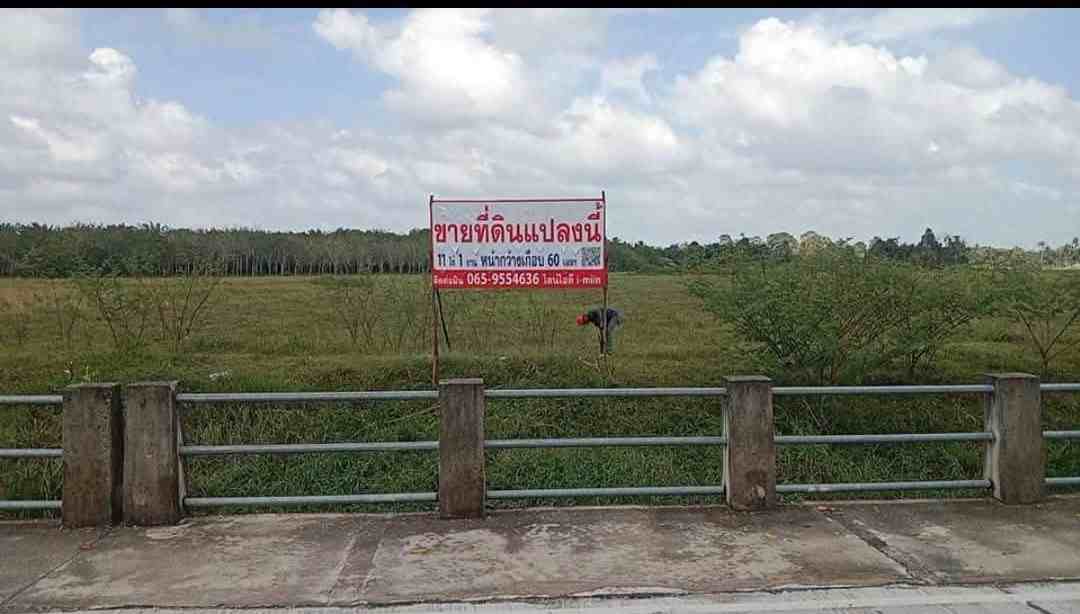 ขายที่ดินเปล่า ใกล้แหล่งรพ. ห้าง และโรงเรียน อำเภอเมืองนครศรีธรรมราช