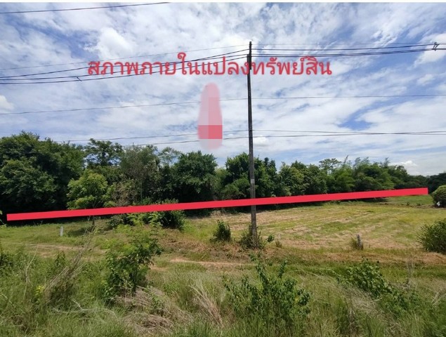 ขายบ้านเดี่ยว The City Ratchaphruek Suanphak เดอะ ซิตี้ ราชพฤกษ์ สวนผัก หลังมุม 2