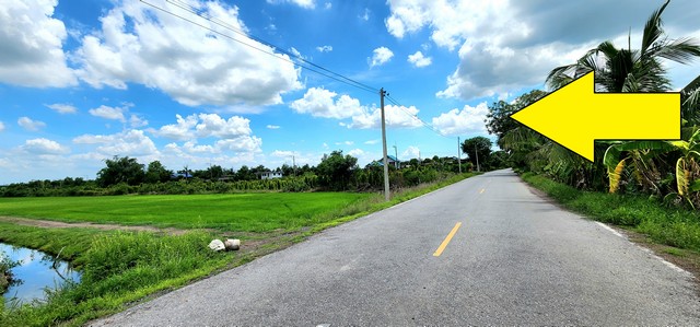 ขายที่ดินติดถนนลาดยาง คลอง23 องครักษ์ ติดถนนลาดยาง 22 ไร่ เหมาะทำจัดสรรแบ่งแปลงขาย ทำเลดีเหมาะทำค้าขาย ปลูกบ้าน ทำสวน ทำการเกษตร