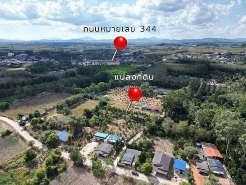ขายที่ดิน พร้อมสวนทุเรียน พร้อมผลผลิต แกลง ระยอง 2 ไร่กว่า TP-L2344