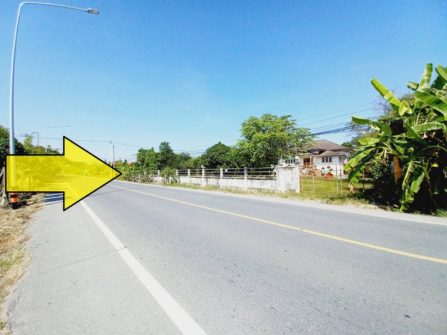 ขายที่ดินแถมบ้านติดถนนลาดยางเรียบ คลอง 12 หนองเสือ 2 ไร่ ติดถนน 2 ด้าน ทำเลเหมาะค้าขาย เหมาะทำโกดัง อยู่ใกล้แหล่งชุมชน