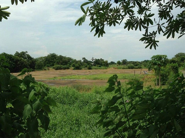 ขายที่ดิน ใกล้ร่มเกล้า 7 ติดถนนร่มเกล้า ขนาดพื้นที่ 56 ไร่กว่า ติดถนนใหญ่