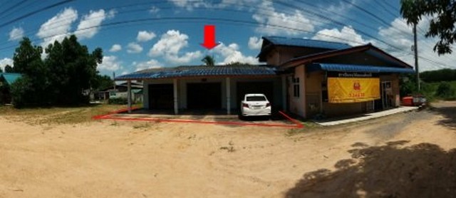 ขายบ้านเดี่ยวชั้นเดียว ถนนเพชรเกษม(4) •ป่าบอน •ป่าบอน •พัทลุง