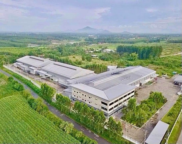 ขายโรงงาน ชลบุรี บ่อทอง สภาพใหม่ พร้อมที่ดิน 58 ไร่ พร้อมใบอนุญาติโรงงาน รง.4