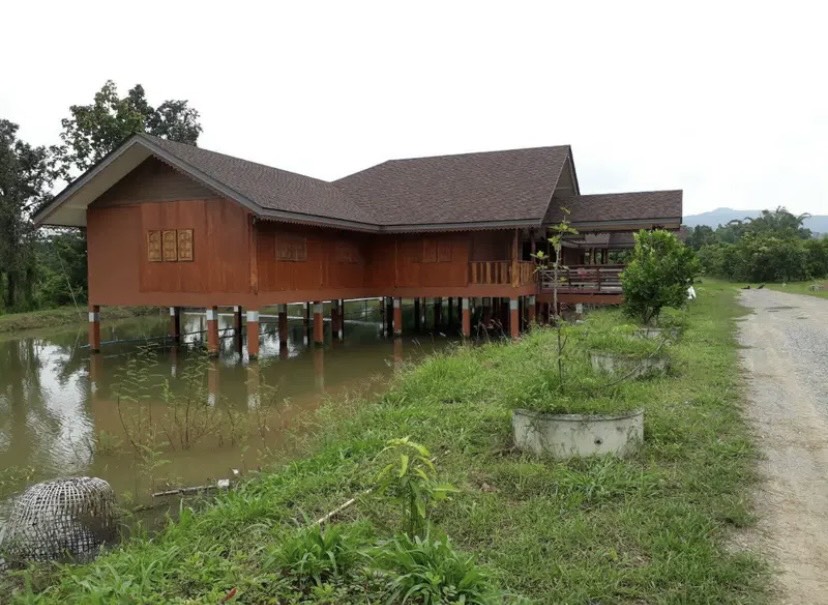 ขายที่ดินพร้อมบ้านและสวนลำไย 14 ไร่ ทำเลดีมาก อ.เมือง จ.ลำพุน