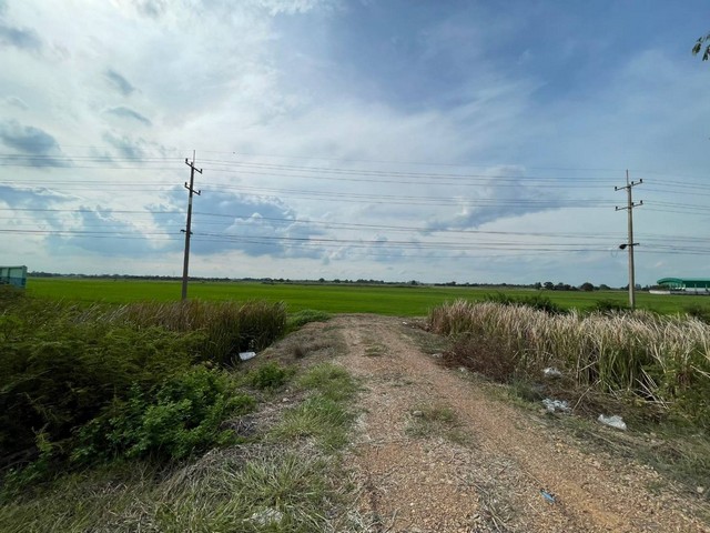 ขายทำเลดีและพื้นที่ที่ดินสวยมาก ต.บางพระขาว อ.บางบาล จ.พระนครศรีอยุธยา