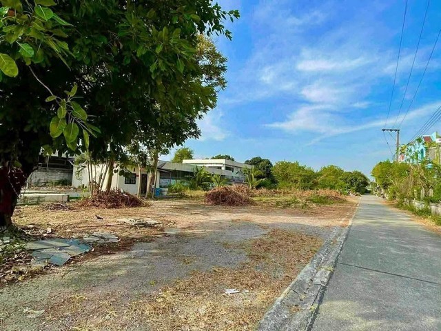 ขายต่ำกว่าราคาประเมิน ที่ดินสร้างโรงแรม 2-2-48 ไร่ ติดถนนสุขุมวิท ใจกลางเมืองระยอง