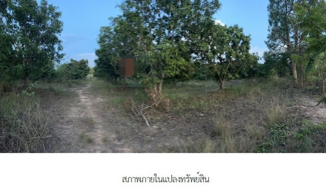 ขายที่ดิน 12 ไร่ 20 ตารางวา เจ้าของขายเอง ตำบลช่องสาริกา อำเภอพัฒนานิคม จังหวัดลพบุรี 3