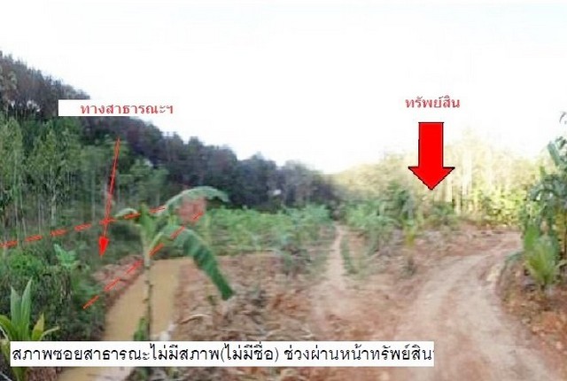 ขายด่วน ที่ดินถมแล้ว 134.8 ตร.วา เหมาะสำหรับลงทุน ราคาถูก 2