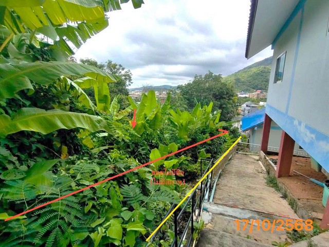 ขายที่ดินเมืองภูเก็ต ถนน โคกโตนด ราคาโปรโมชั่น เนื้อที่ 0-1-65.10 ไร่