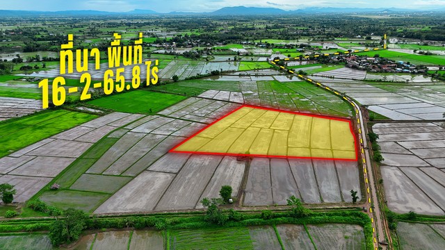 ขายที่นาแปลงใหญ่ 16 ไร่ ติดคลองชลประทาน อ.เมืองเชียงราย ใกล้สนามบิน