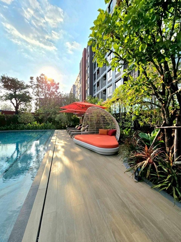 ดีคอนโด วิวิด รังสิต คอนโด ใกล้ ม.กรุงเทพ พร้อมอยู่ Fully Furnished แต่งครบ โทร 0654496399
