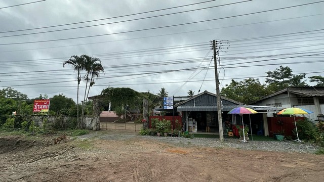 ขายที่ดินพร้อมบ้านและโฮมสเตย์ ติดถนนสายเชียงราย-เชียงใหม่ อำเภอแม่สรวย จังหวัดเชียงราย เนื้อที่ 2 ไร่ 2 งาน