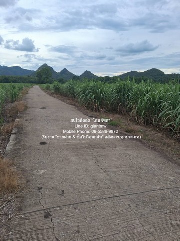 DSL-1351 ขาย ที่ดิน ขายที่ดินไร่อ้อย (น.ส.3 ก.) 19-2-21 ไร่ ต.ห้วยยาง อ.คอนสาร จ.ชัยภูมิ ราคา 9.78 ล้านบาท 9780000 บาท ชัยภูมิ