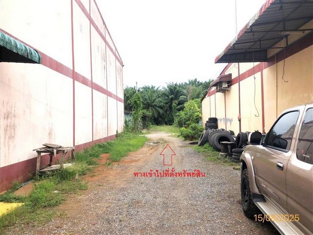ขายที่ดินสุราษฎร์ธานี ถนนสายสุราษฎร์ธานี - หลังสวน อำเภอท่าชนะ