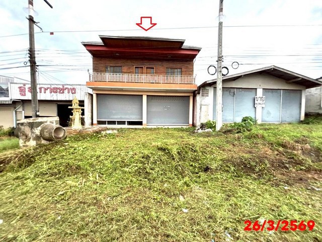 ขายบ้านเดี่ยวสุราษฎร์ธานี อำเภอพนม ถนนสายสุราษฎร์ธานี - ตะกั่วป่า