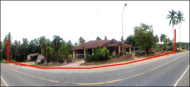 ขายบ้านเดี่ยวสุราษฎร์ธานี อำเภอไชยา ถนนสายไชยา - ปากหมาก