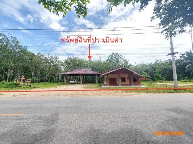 ขายบ้านเดี่ยวสุราษฎร์ธานี อำเภอคีรีรัฐนิคม ถนนบ้านท่าขนอน - บ้านดอนเลียบ