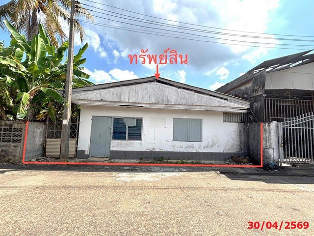 ขายบ้านเดี่ยวเมืองสุราษฎร์ธานี ถนนวัดโพธิ์-บางใหญ่