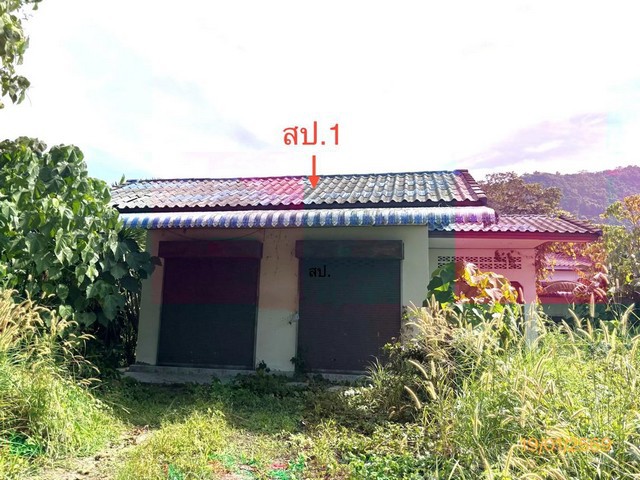 ขายบ้านเดี่ยวสุราษฎร์ธานี อำเภอกาญจนดิษฐ์ ถนน สายบ้านใน-บ้านในอ่าว