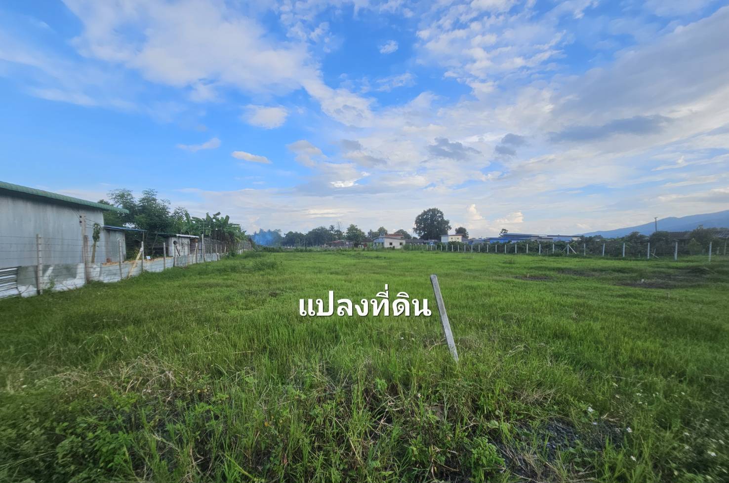 ขายที่ดินเปล่า ทำเลดี แม่ริม เชียงใหม่ ราคาต่ำกว่าตลาด ใกล้มหาวิทยาลัยแม่โจ้ วิวดอยสุเทพ