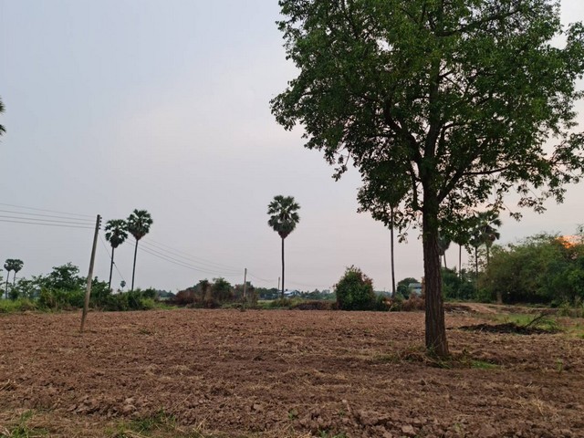ทั้งปล่อยเช่า หรือขาย ที่ดินติดแม่น้ำน่าน ที่สวยติดแม่น้ำน่าน ชุมแสง จ.นครสวรรค์ วิวแม่น้ำเกษตรดีงามสวยสมบูรณ์