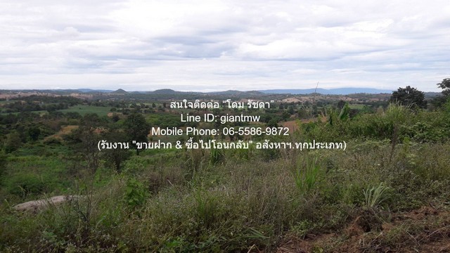DSL-1246 ขาย ที่ดิน ขายที่ดินบนเนินเขา 10-1-5 ไร่ (ใบอ่อน: ส.ป.ก./สร.5 ก.) วังน้ำเขียว นครราชสีมา ราคา 4,500,000 บาท (โอนฟรี) ใกล้กับ โรงเรียนบ้านซับไทรทอง 4500000 บาท นครราชสีมา