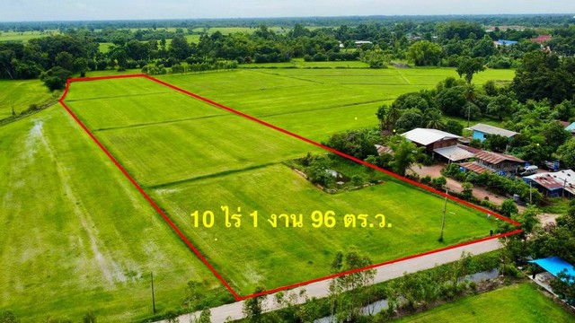 ขายที่ดิน พิจิตร ,สากเหล็ก ,หนองหญ้าไทร พื้นที่ 10-1-96 ตารางวา